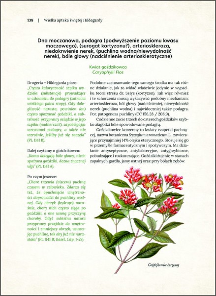 apteka_sw_hildegardy_4.jpg