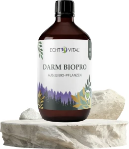 Darm Bio Pro 500ml Echt Vital